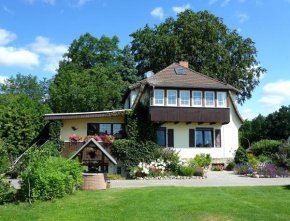 Отель Pension Wiesenhof B&B  Темплин